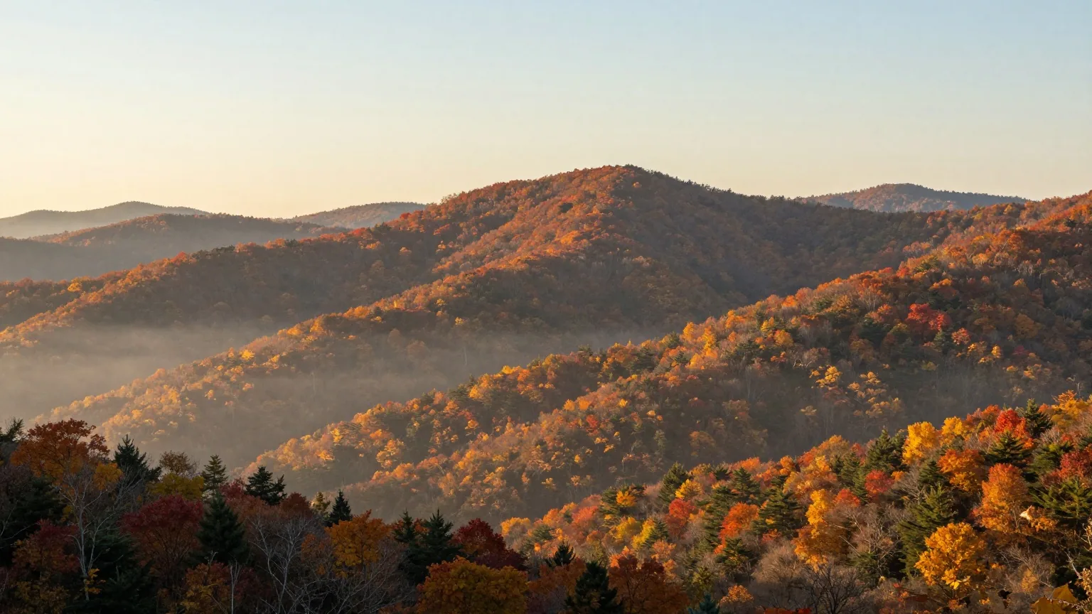 Bewaldete Bergketten der südlichen Appalachen im Herbst, Nebel liegt in den Tälern, warmes Licht der späten Nachmittagssonne