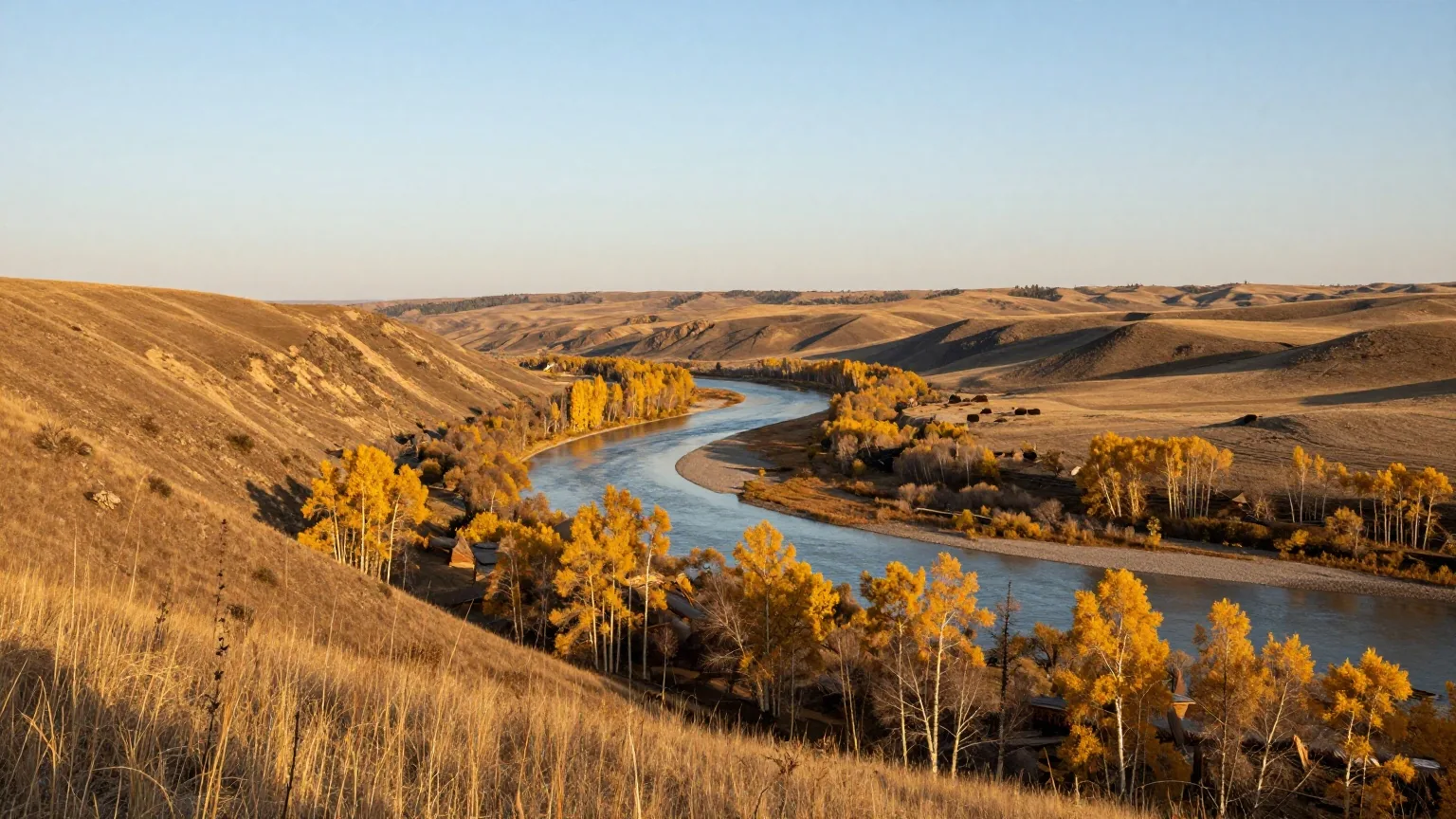Breites Tal des North Saskatchewan River mit Espenwäldchen und grasbewachsenen Hängen im warmen Licht der späten Nachmittagssonne