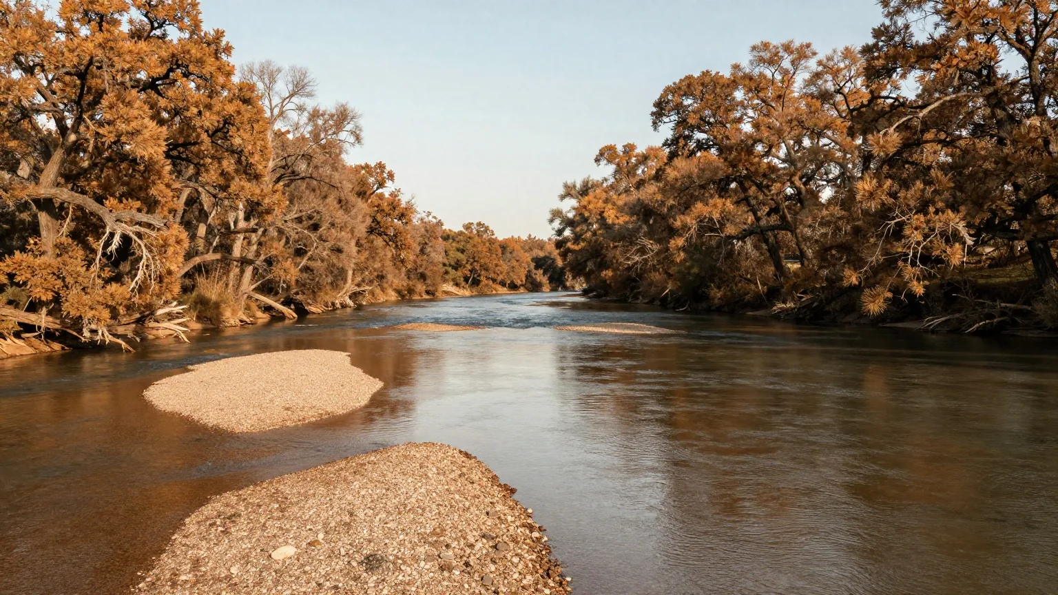Breiter, ruhiger Fluss zwischen bewaldeten Ufern mit Laubbäumen im späten Nachmittagslicht, flache Kiesbänke im Wasser