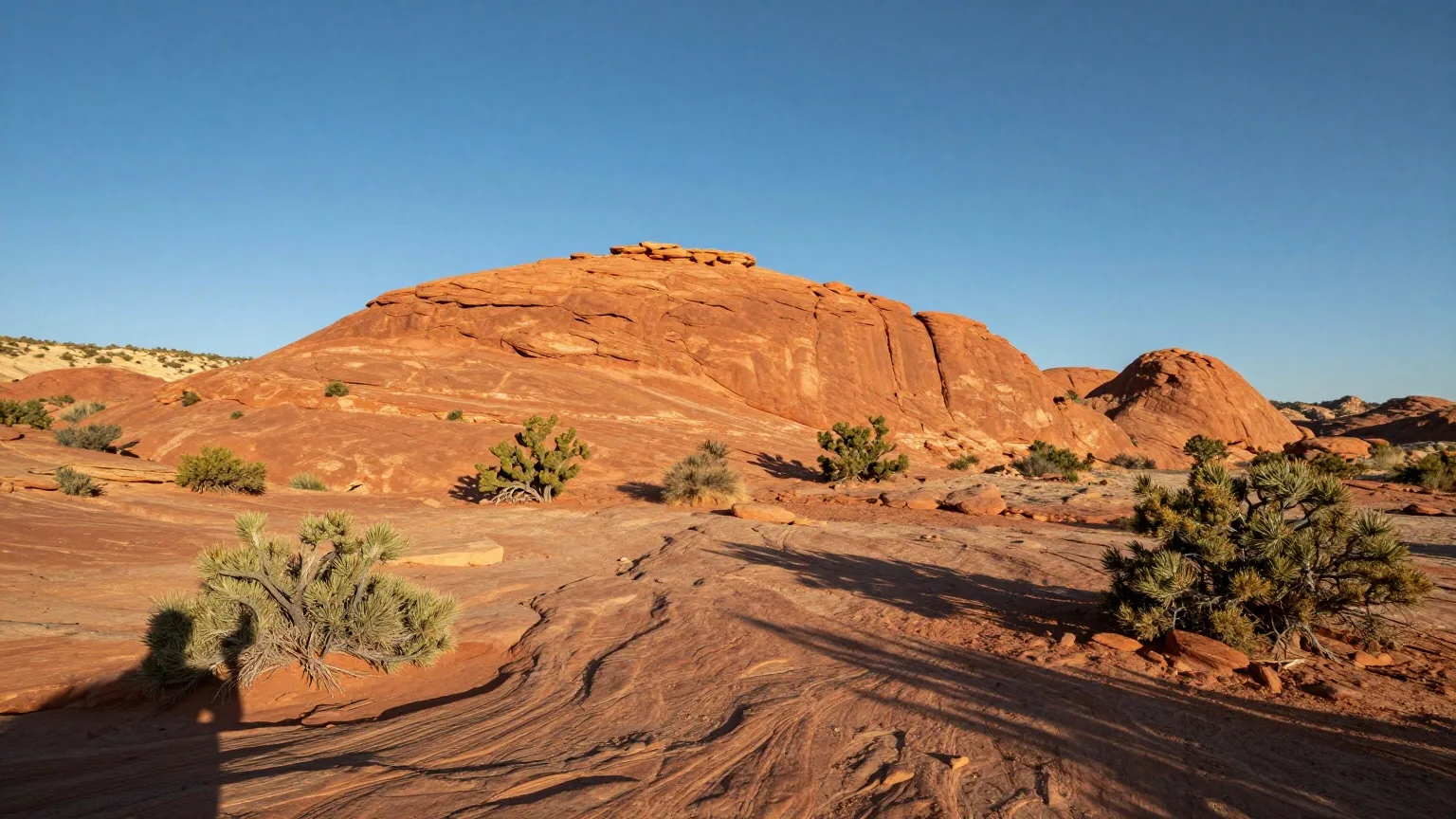 Rote Sandsteinmesas und vereinzelte Wacholderbüsche auf einem weiten Hochplateau im Nordosten Arizonas im warmen Licht der späten Nachmittagssonne