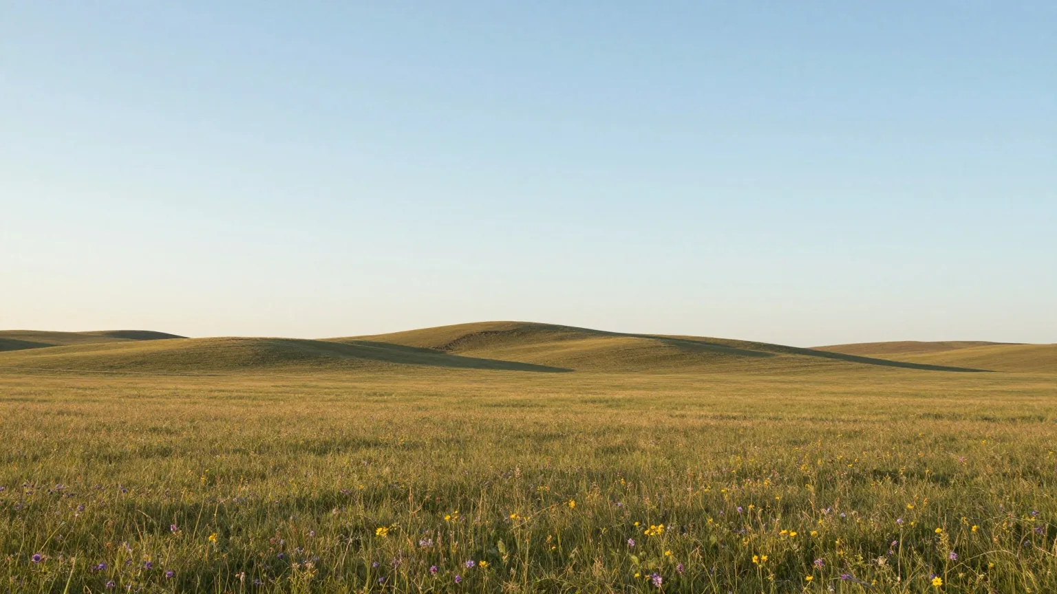 Weite grüne Prärie im Frühsommer mit vereinzelten Wildblumen unter einem hohen, fast wolkenlosen Himmel, die Sonne steht tief über flachen Hügeln am Horizont