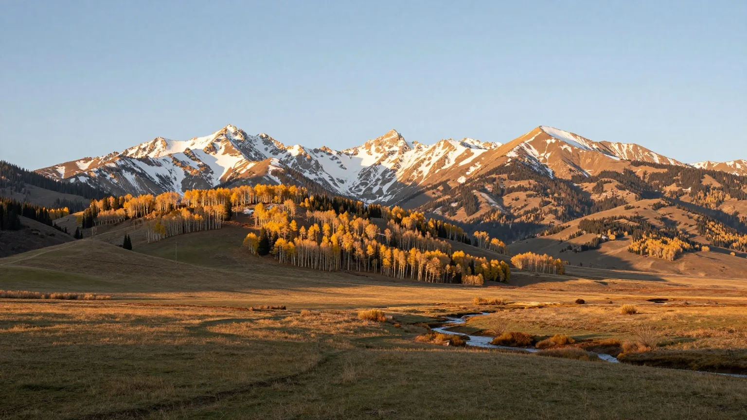 Schneebedeckte Gipfel der San Juan Mountains über Espenwäldern mit gelbem Herbstlaub und einer grünen Bergwiese im warmen Licht des späten Nachmittags