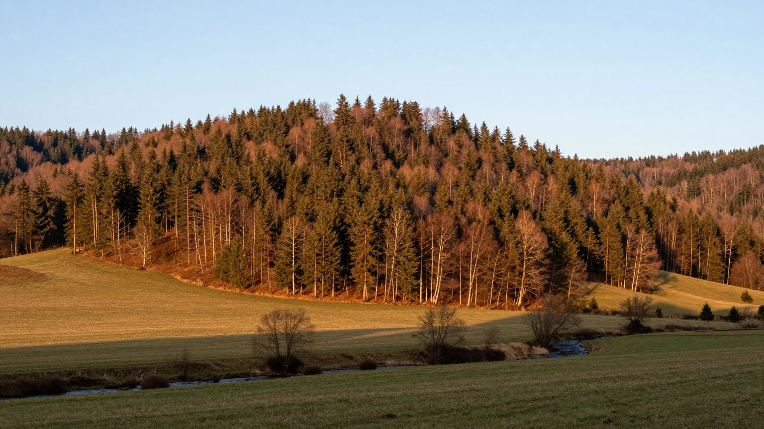 Bewaldete Berghänge des Sauerlands mit Fichten und Buchen über einem grünen Tal im warmen Licht der späten Nachmittagssonne
