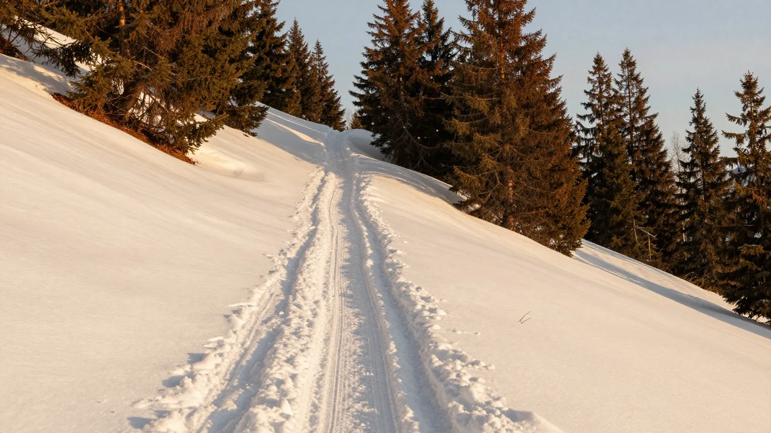 Schmaler festgetretener Schneeweg durch dunklen Bergwald, leichtes Schneetreiben im fahlen Winterlicht